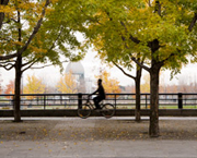 Bike to work to save gas